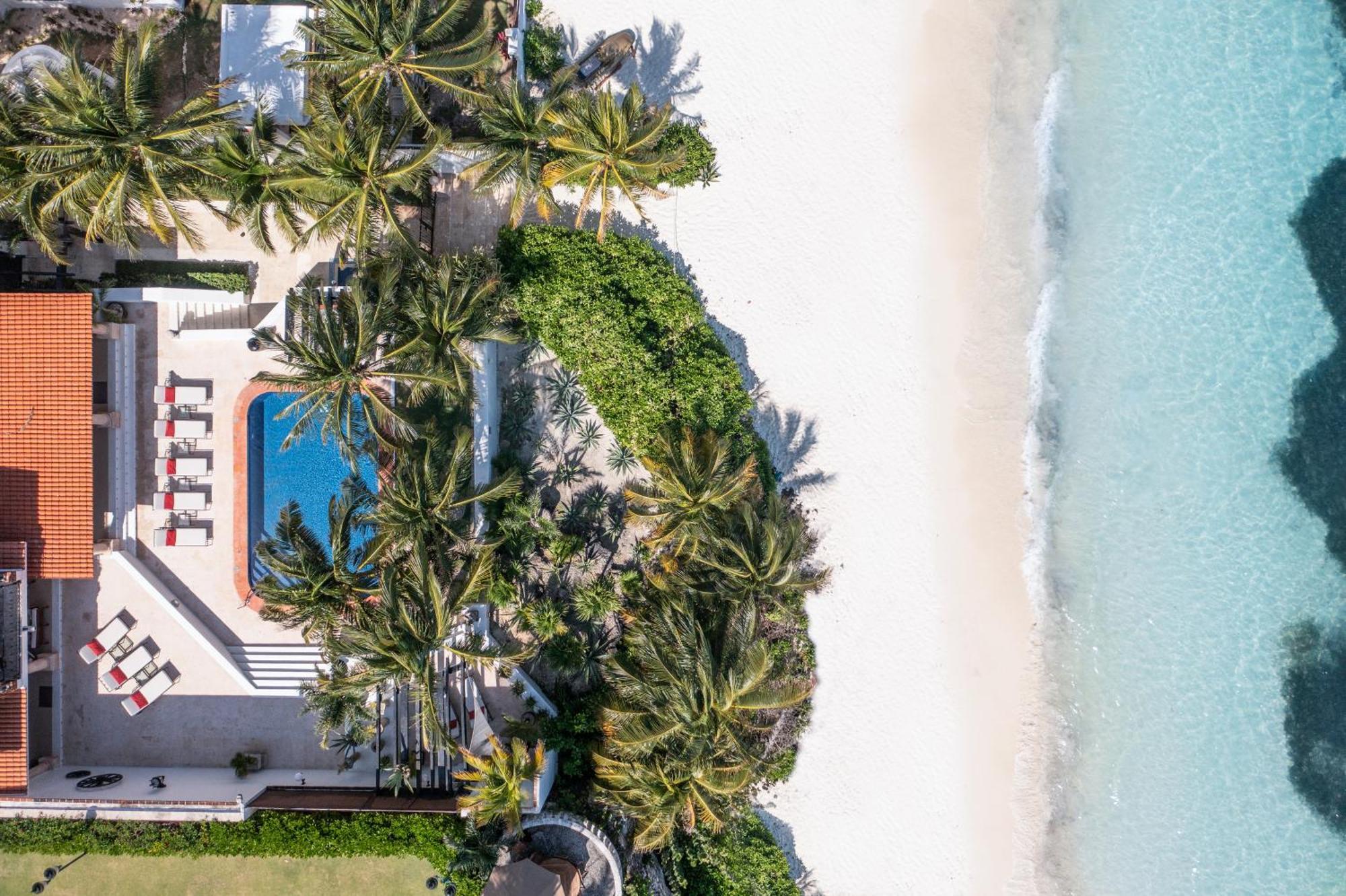 Villa Albatros Oceanfront Luxury Hotelzone كانكون المظهر الخارجي الصورة